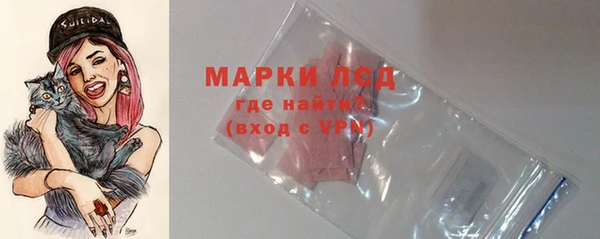 стаф Абаза